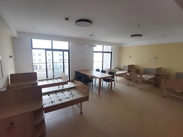 毁容王妃：绝色夫君温柔妻