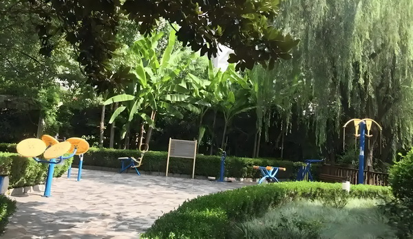 红衣主教